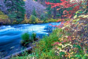 Autumn colors along the Metolius River in Oregon